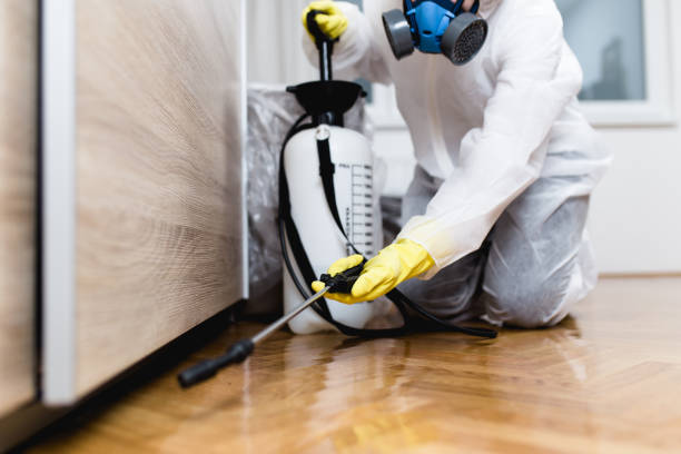 Best Local Pest Control Services  in North Wilkesboro, NC