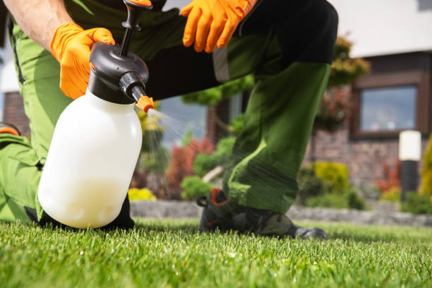 Best Best Pest Control Companies  in North Wilkesboro, NC