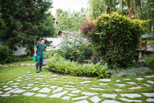 Best Affordable Pest Control Services  in North Wilkesboro, NC