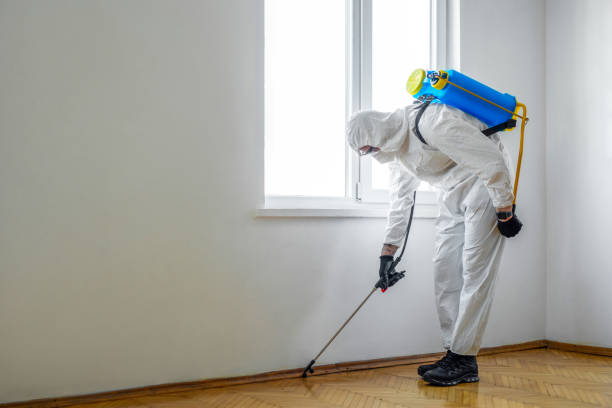 Best Best Pest Control Companies  in North Wilkesboro, NC